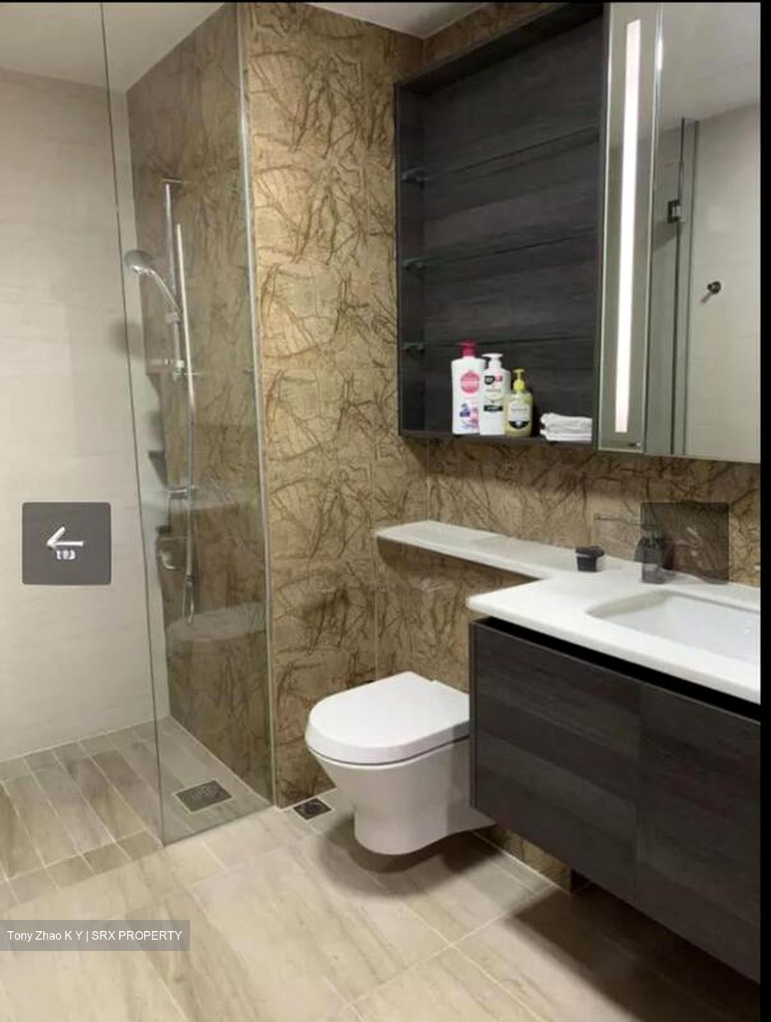 Sims Urban Oasis (D14), Condominium #500219891